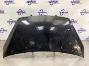 Motorhaube Mitsubishi Colt VI Z2, Z3 MN161899