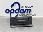 Heckklappengriff Renault Clio III BR0/1, CR0/1 8200076256