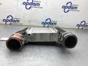 Ladeluftkühler Mercedes-Benz A-Klasse W177 A1390901200