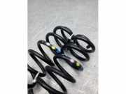 Feder hinten Renault Clio Grandtour IV R