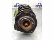 Federbein links vorne Renault Clio III BR0/1, CR0/1