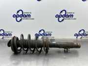 Federbein rechts vorne Citroen C2 5202SN