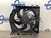 Elektrolüfter Renault Clio III BR0/1, CR0/1 3000266