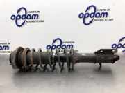 Federbein rechts vorne Suzuki Alto VI FF 41601M79G50