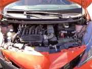 Grill Windlauf Toyota Aygo B4 557810H080