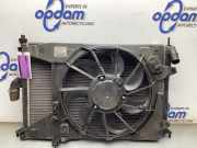 Kühlpaket Dacia Sandero I BS 0130307107