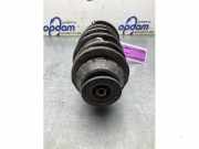 Federbein rechts vorne Peugeot 107 5202RX