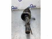 Federbein links vorne Ford Focus II DA, DP, HCP 4M5118045AAD