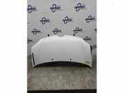Motorhaube Renault Twingo III BCM