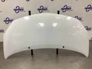Motorhaube Renault Twingo II CN0 7751477649