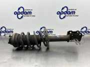 Federbein links vorne Opel Zafira B A05 1635547980