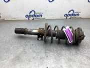 Federbein rechts vorne Skoda Fabia 6Y 6Q0413031BH