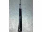 Gasdruckfeder Hyundai i30 I FD 817702L000