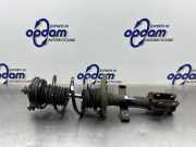 Federbein rechts vorne Renault Clio III BR0/1, CR0/1 8200676024