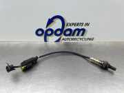 Lambdasonde Fiat Panda 169 55202416