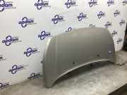 Motorhaube Ford Transit Connect V408 Kasten