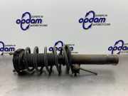 Federbein rechts vorne VW Caddy III Kasten 2KA 1T0413031