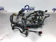 Kabelbaum Fiat 500 312 00552564610