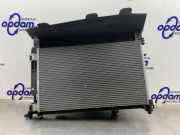 Kühlpaket Renault Kangoo II Rapid FW0 8200427466