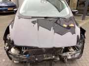 Motorhaube Ford Kuga II DM2