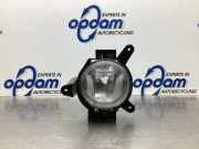 Nebelscheinwerfer links vorne Chevrolet Spark M300 1041002