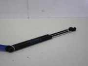 Heckklappendämpfer Lancia Ypsilon 843