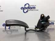 Fahrpedal Renault Clio III BR0/1, CR0/1 8200297342