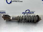 Federbein links vorne Suzuki Ignis FH 4160280G60