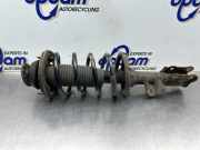 Federbein rechts vorne Kia Picanto 1 SA 5466007100