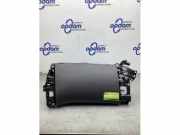 Handschuhfach Renault Scenic IV J9 681081737R