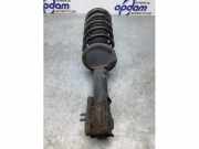 Federbein rechts hinten Land Rover Freelander 1 L314