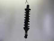 Federbein links hinten Rover 25 RF