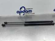 Heckklappendämpfer Opel Astra H GTC 13220159