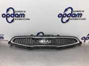 Kühlergrill Kia Picanto 2 TA 863511Y000