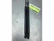 Gasdruckfeder Citroen C3 III SX 9813177780
