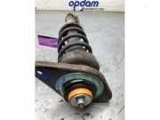 Federbein rechts hinten Mini Mini Countryman R60 14941510