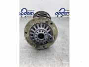 Federbein rechts vorne BMW 3er Touring F31 14941510
