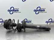Federbein rechts vorne BMW 5er Touring E61 31316768796