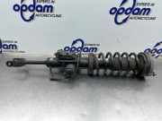 Federbein links vorne BMW 5er F10 105413