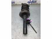 Federbein rechts vorne Mercedes-Benz A-Klasse W177 A1773209200