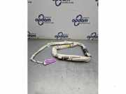 Airbag Dach links Ford C-Max II DXA DM5117042D95AF