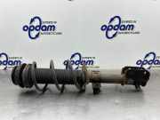 Federbein rechts vorne Suzuki Swift IV FZ, NZ 4160168L00