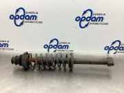 Federbein rechts hinten VW Polo III 6N2 6N0513031L