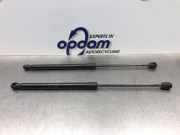 Heckklappendämpfer Opel Corsa C X01 9582RK