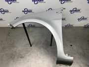 Kotflügel links vorne Renault Clio III BR0/1, CR0/1 631014270R