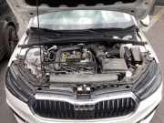 Motor ohne Anbauteile (Benzin) Skoda Fabia IV PJ3