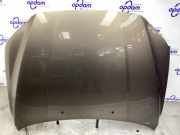 Motorhaube Volvo V70 III 135 31371418