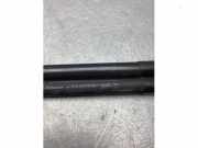 Heckklappendämpfer Renault Clio Grandtour IV R 844307620R