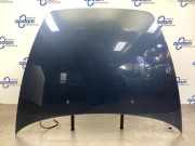 Motorhaube Volvo V50 545 31371415