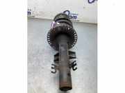 Federbein rechts vorne VW Transporter T5 Kasten